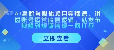 AI高阶自媒体项目实操课，讲透账号运营底层逻辑，从发布视频到规避违规一网打尽-58创网