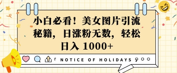 小白必看，美女图片引流秘籍，日涨粉无数，轻松日入几张【揭秘】-58创网