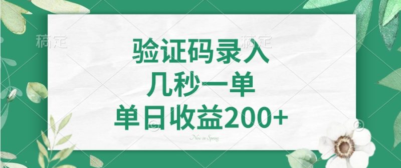 验证码录入，几秒一单，单日收益200+-58创网