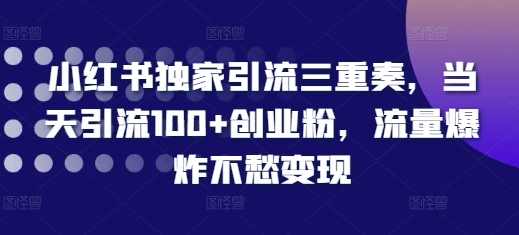 小红书独家引流三重奏，当天引流100+创业粉，流量爆炸不愁变现【揭秘】-58创网