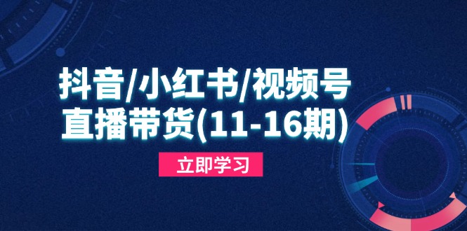 抖音/小红书/视频号/直播带货(11-16期-58创网