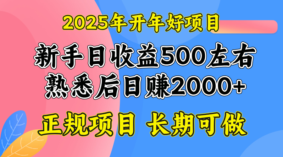 2025开年好项目，单号日收益2000左右-58创网