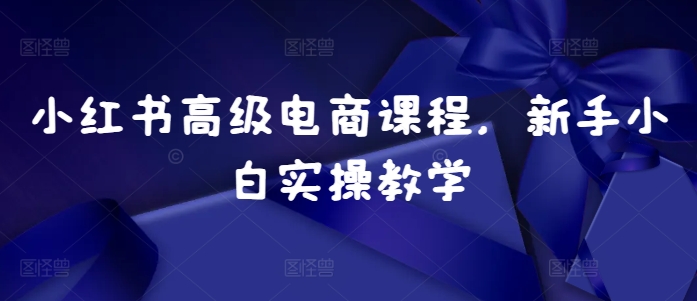 小红书高级电商课程，新手小白实操教学-58创网