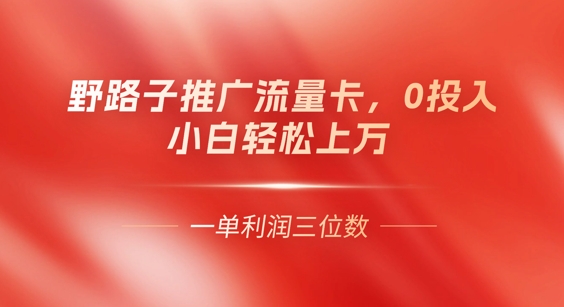 0门槛推广流量卡，一单收益上百，0投入，小白月入过W-58创网