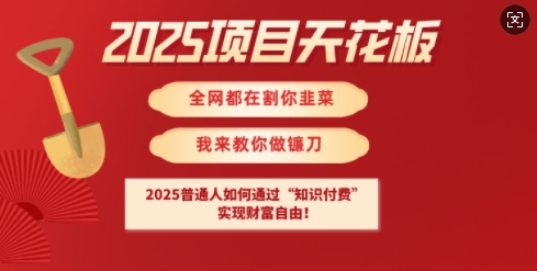 2025项目天花板普通人如何通过知识付费，实现财F自由【揭秘】-58创网