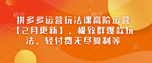 拼多多运营玩法课高阶运营【2月更新】，极致群爆款玩法，轻付费无尽复制等-58创网