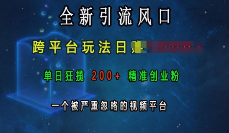 全新引流风口，跨平台玩法日入上k，单日狂揽200+精准创业粉，一个被严重忽略的视频平台-58创网