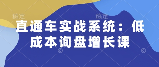 直通车实战系统：低成本询盘增长课，让个人通过技能实现升职加薪，让企业低成本获客，订单源源不断-58创网