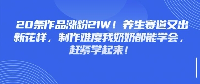 20条作品涨粉21W！养生赛道又出新花样，制作难度我奶奶都能学会，赶紧学起来-58创网
