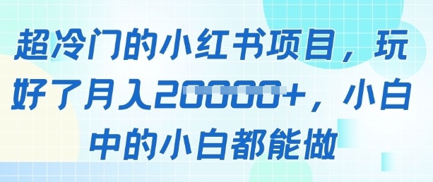 超冷门的小红书项目，玩好了月入过1w，小白中的小白都能做-58创网
