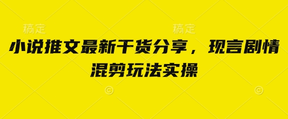 小说推文最新干货分享，现言剧情混剪玩法实操-58创网