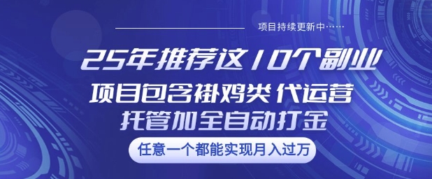 25年推荐这10个副业项目包含褂鸡类、代运营托管类、全自动打金类【揭秘】-58创网