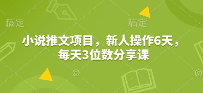 小说推文项目，新人操作6天，每天3位数分享课-58创网