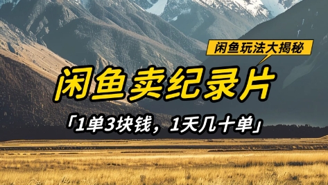 闲鱼卖纪录片1单3块钱，1天几十单，项目稳定有潜力-58创网