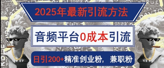 2025年最新引流方法，音频平台0成本引流，日引200+精准创业粉-58创网