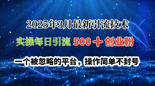 2025年3月最新引流技术，实操每日引流500+创业粉，一个被忽略的平台，操作简单不封号-58创网
