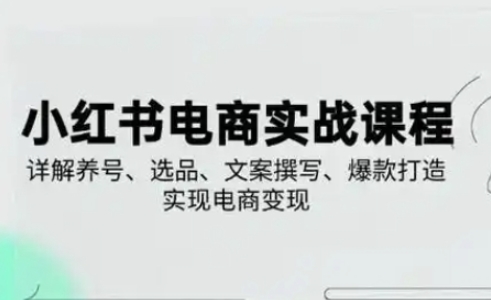 小红书从0-1实操课(2023-2025)，详解养号、选品、文案撰写、爆款打造实现电商变现-58创网