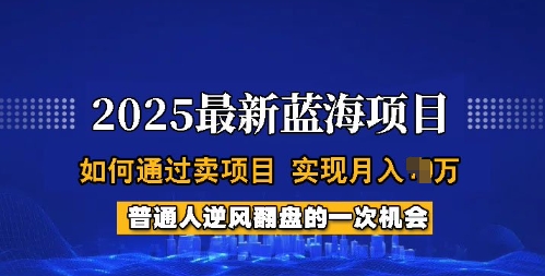 2025蓝海项目，普通人如何通过卖项目，实现月入过W，全过程【揭秘】-58创网
