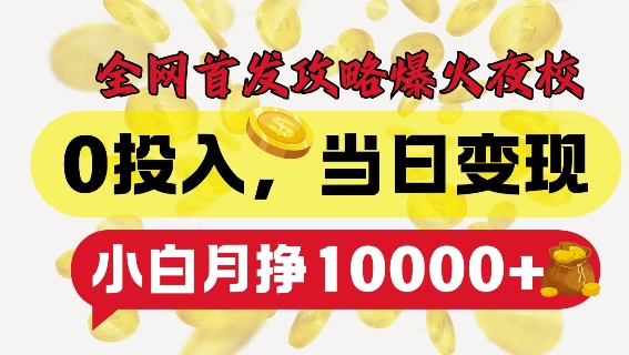 全网首发爆火夜校，0投入，当日变现，小白轻松月入1w+【揭秘】-58创网