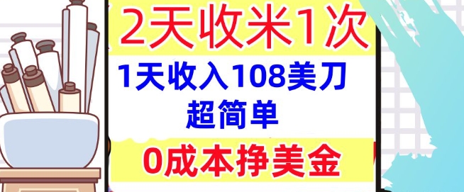 0成本挣美金，超简单，1天收入108刀，2天收米一次，实战教程，首次公开-58创网