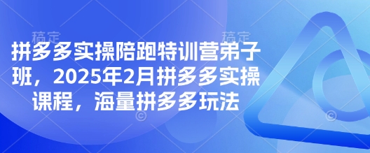 拼多多实操陪跑特训营弟子班，2025年2月拼多多实操课程，海量拼多多玩法-58创网