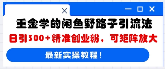 重金学的闲鱼野路子引流法，日引300+精准创业粉，可矩阵放大-58创网