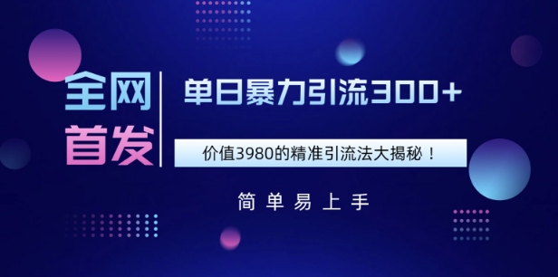 全网首发，价值3980单日暴力引流300+的精准引流法大揭秘-58创网