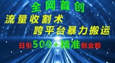 全网流量收割术：跨平台暴力搬运，日引500+精准创业粉-58创网