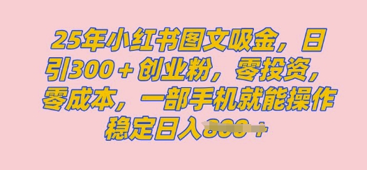 2025年小红书创业粉图文自热教程，日+300创业粉，单日变现多张，无脑操作，宝妈，小白抓紧冲-58创网