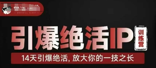 引爆绝活IP训练营，14天引爆绝活，放大你的一技之长-58创网