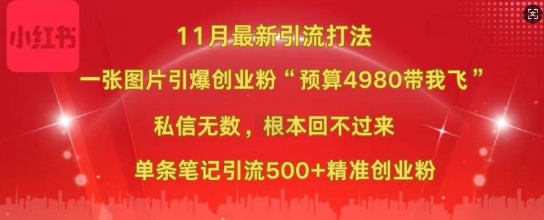小红书11月最新图片打粉，一张图片引爆创业粉，“预算4980带我飞”，单条引流500+精准创业粉-58创网