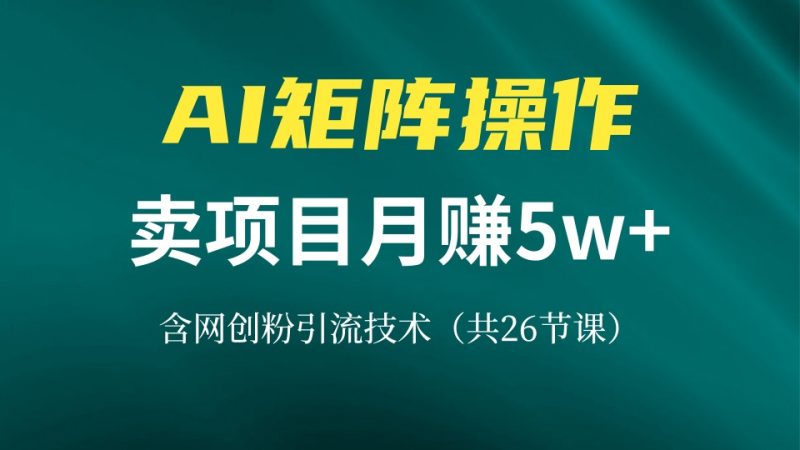 网创IP打造课，借助AI卖项目月赚5万+，含引流技术(共26节课-58创网