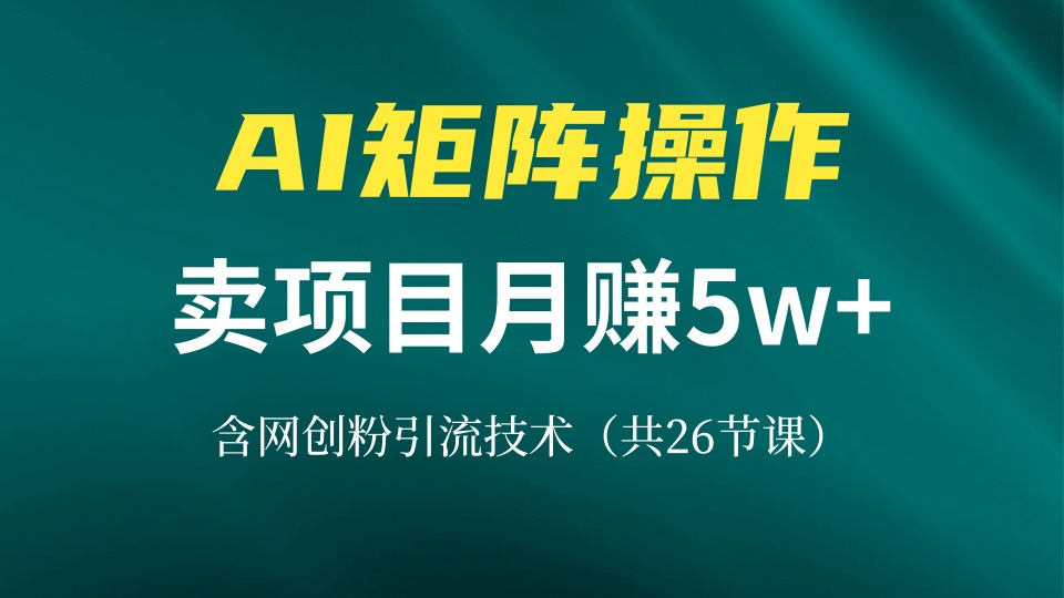 网创IP打造课，借助AI卖项目月赚5万+，含引流技术(共26节课-58创网