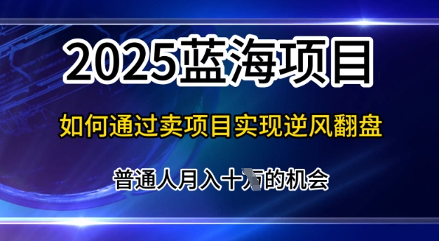 2025蓝海项目，普通人如何通过卖项目实现逆风翻盘，月入10个【揭秘】-58创网