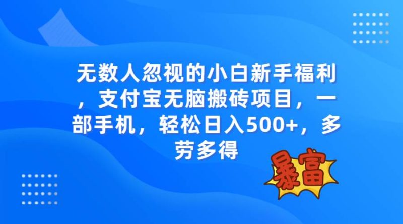 无数人忽视的项目，支付宝无脑搬砖项目，一部手机即可操作，轻松日入500+-58创网