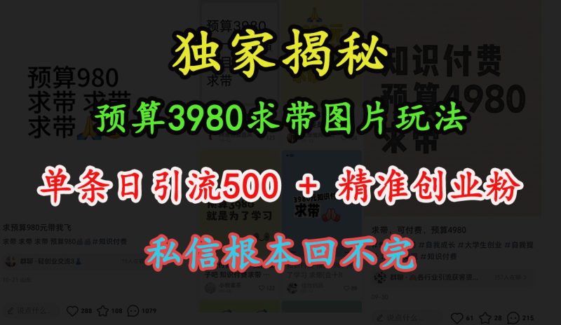 “小红书”预算3980求带 图片玩法，单条日引流500+精准创业粉，私信根本回不完-58创网