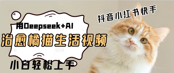 疯狂火爆，用Deepseek+AI做治愈橘猫系列视频，小白轻松制作+快速拿到结果-58创网
