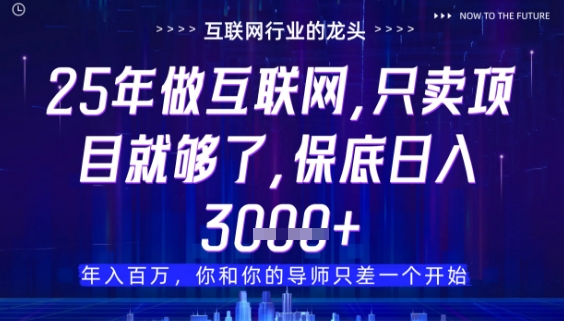 什么！25年你还在找项目做？风口早就变了，卖项目才是稳挣不赔【揭秘】-58创网