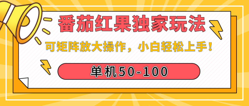 番茄红果独家玩法，单机50-100，可矩阵放大操作，小白轻松上手！-58创网