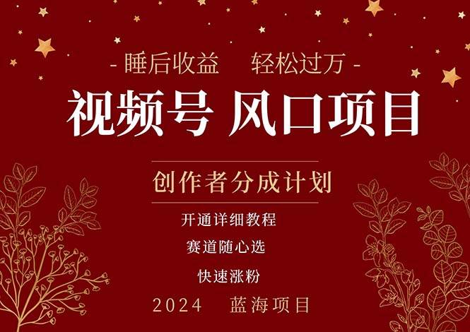 拥有睡眠收益的微信视频号大风口项目，轻松月入过万+，多赛道选择，可…-58创网