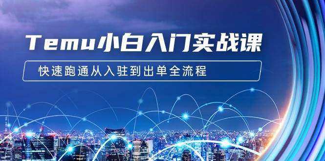 Temu小白入门实战课：跨境拼多多电商培训 快速跑通从入驻到出单全流程-12节-58创网