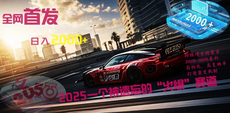 全网首发：2025一个被遗忘的“火爆”赛道轻松日入2000+-58创网