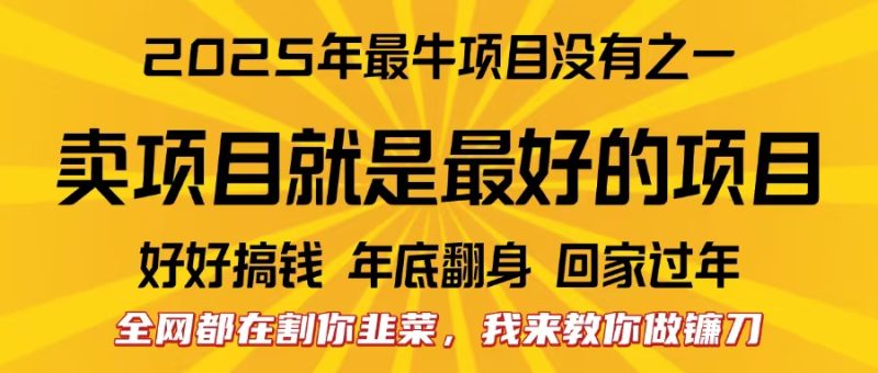 全网都在割你韭菜，我来教你做镰刀。卖项目就是最好的项目，2025年最牛互联网项目-58创网