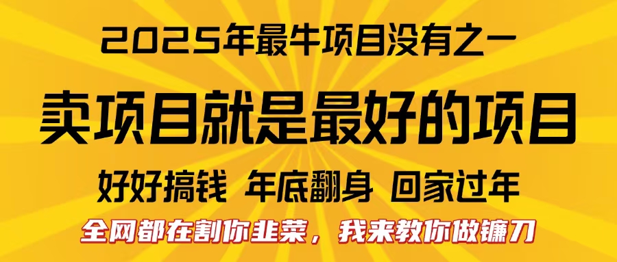 全网都在割你韭菜，我来教你做镰刀。卖项目就是最好的项目，2025年最牛互联网项目-58创网
