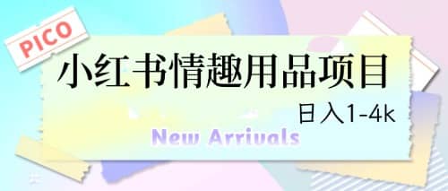最新小红书情趣用品项目，日入1-4k-58创网