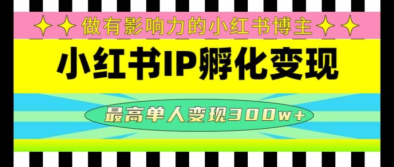 某收费培训-小红书IP孵化变现：做有影响力的小红书博主-58创网