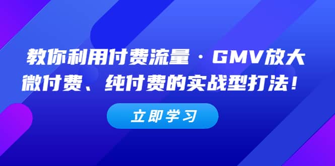 教你利用付费流量·GMV放大，微付费、纯付费的实战型打法-58创网