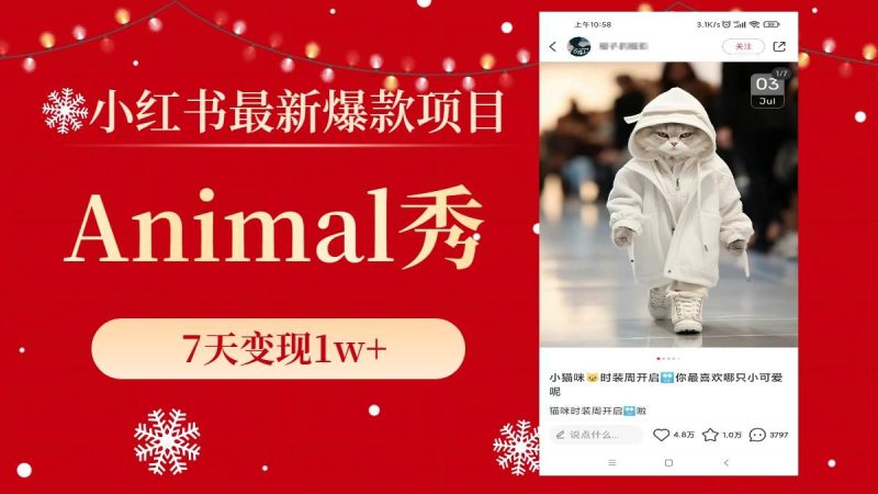 小红书最新爆款项目，Animal秀，7天变现1w+-58创网