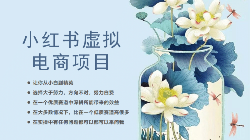 小红书虚拟电商从0到1，让你从小白到精英（20节实操课程）-58创网