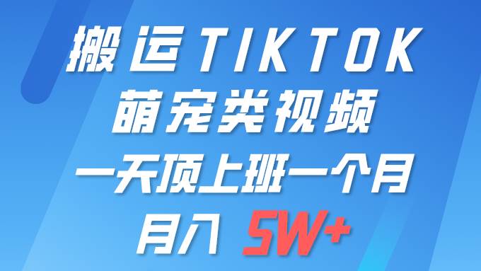 一键搬运TIKTOK萌宠类视频 一部手机即可操作 所有平台均可发布 轻松月入5W+-58创网